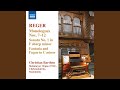Miniature de la vidéo de la chanson Sonata No. 1 In F-Sharp Minor, Op. 33: Fantasia