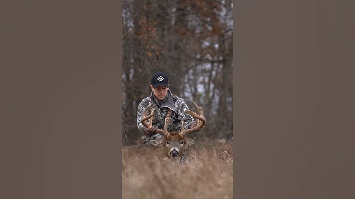 8.5 Year Old Wisconsin Buck #hunting #deer #deerhunt #outdoors