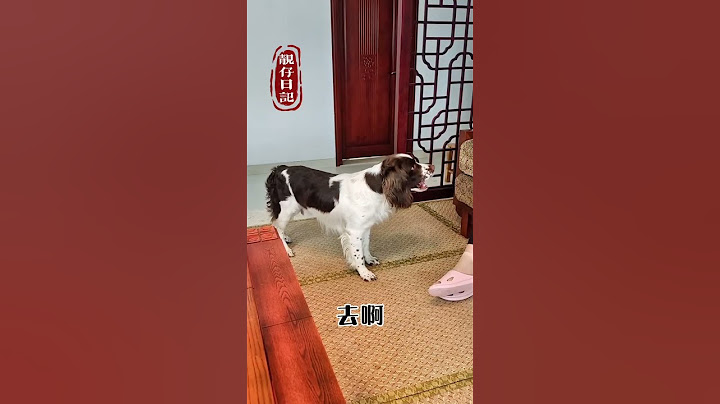 仔仔：呜呜~妈妈竟然又在背后说我坏话！！ #pets #宠物生活 #萌宠 #funny