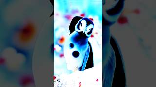 Ice bird Ai photo Stop challenge