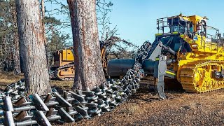 Extreme Fastest Tree Stump Remove Dangerous Crazy Working, Heavy Skill Logging Biggest Tree Cutting