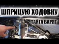 тайга варяг 550 ТО1 шприцуем ходовку.Заглянули в цилиндры.камера Fi