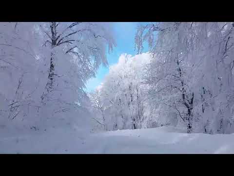 ამღერებული ლექსები ფშავლები ლექსის ავტორი – დეკანოზი თავმას ჩოხელი