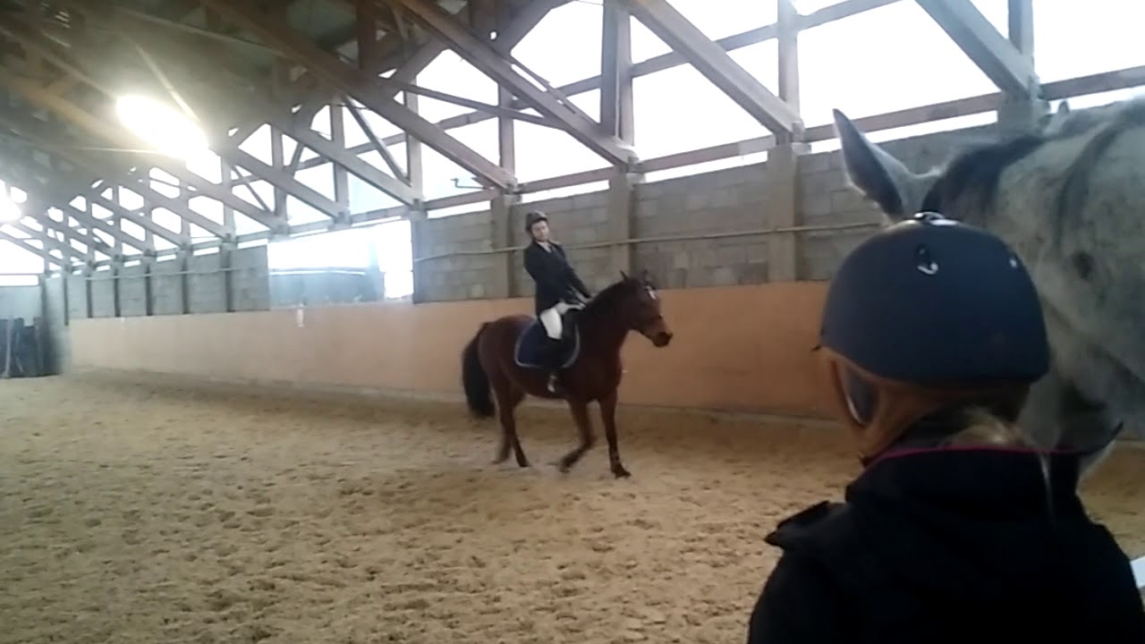 Srebrna Odznaka Jeździecka - SOJ - Ujeżdżenie