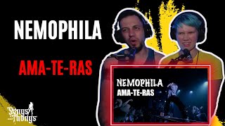 Nemophila Ama-Te-Ras REACTION by Songs and Thongs