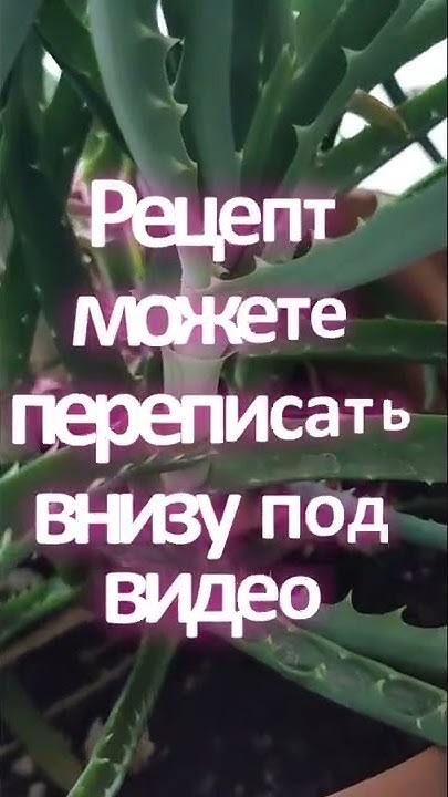 Крем "Клеопатра" Для Омоложения и Питания Лица 👩‍🦳 Знахарь-Кирилл - YouTube