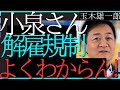 【次期総裁選】小泉進次郎氏の解雇規制見直しの中身が全く分からず苦笑、さらに小泉氏とは違ったより良い解雇規制の見直しを提案する国民民主 玉木代表