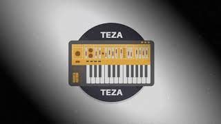 TezaBeats - Metasonix