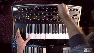 Moog Sub 37 - Recording Samples for DarkSide - High Tech Minimal Template / Course