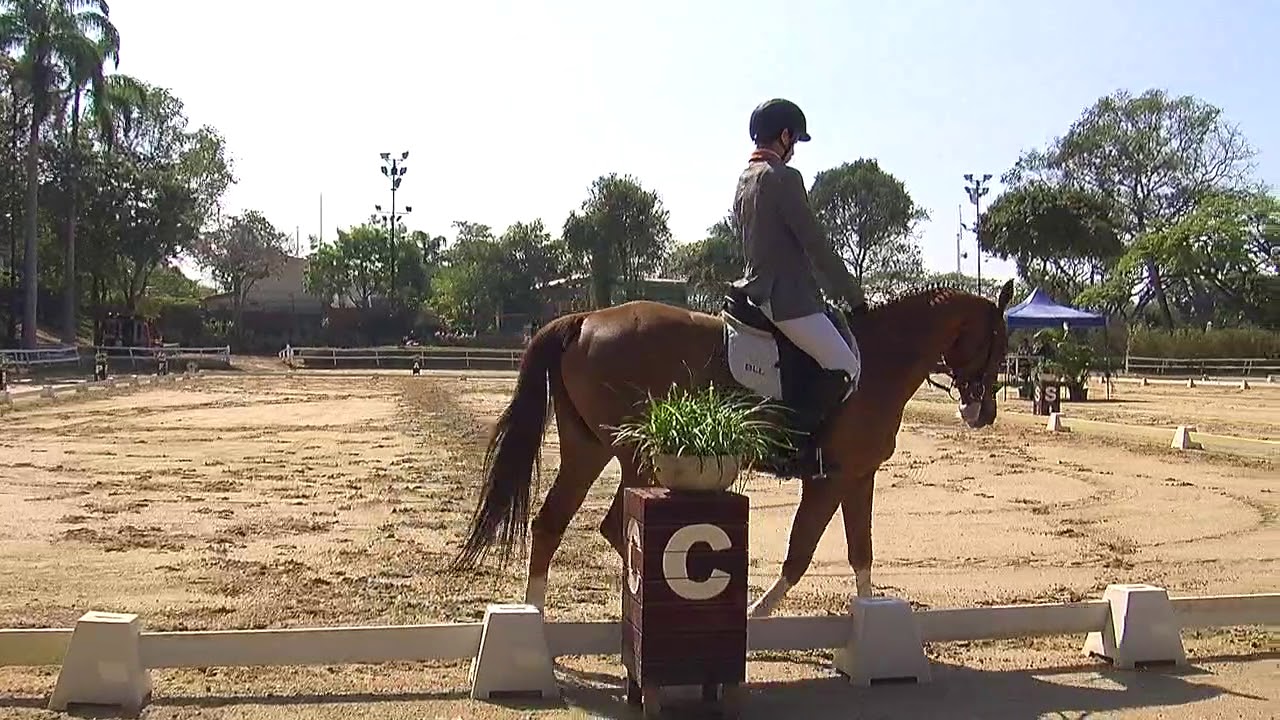 CCC Ad Abr 2018 Bernardo Lander en SF Magnolia P17