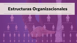 Estructuras organizacionales