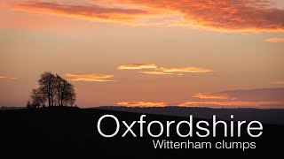 Landscape Photography at Wittenham Clumps, Oxfordshire