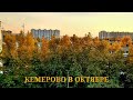Краски осени Кемерово в октябре