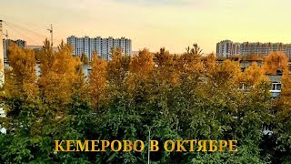 Краски осени Кемерово в октябре
