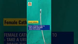 Female Catheter.