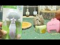 うさぎの換毛期対策グッズを生レビュー