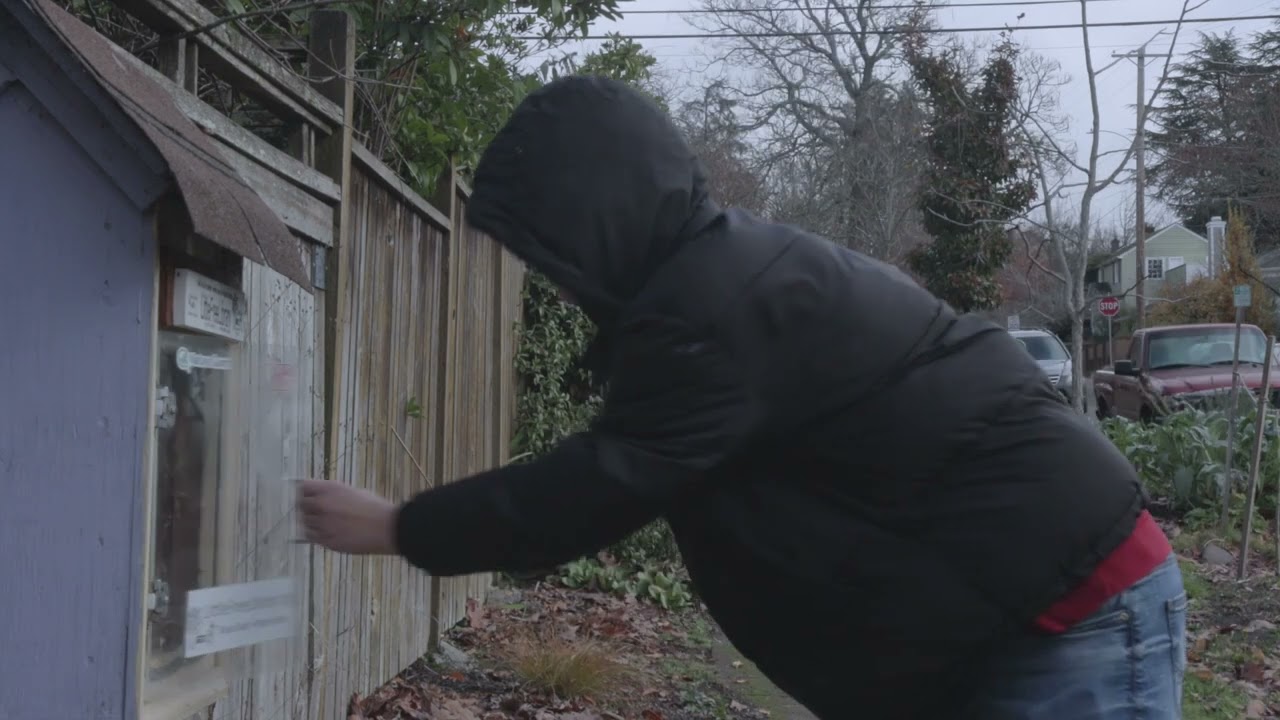 Little Library Love Story