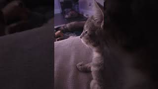 This Was Someone She Loved