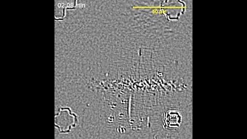 Carbon nanotubes growth in-situ video 1