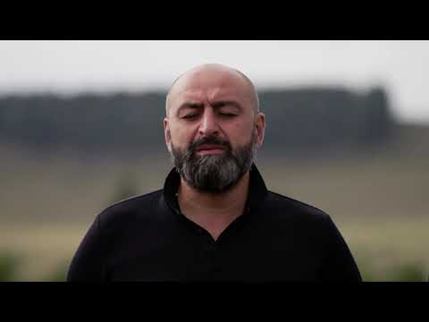 ჰერიო ბიჭებო