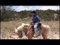 America's Favorite Trail Horse Promo Finale