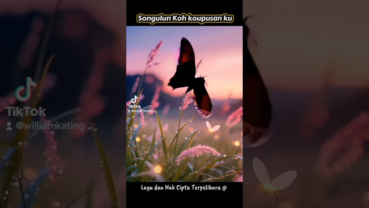 SONGULUN KOH KOUPUSAN KU - Dusun Sabahan Song composed by w_kating. 