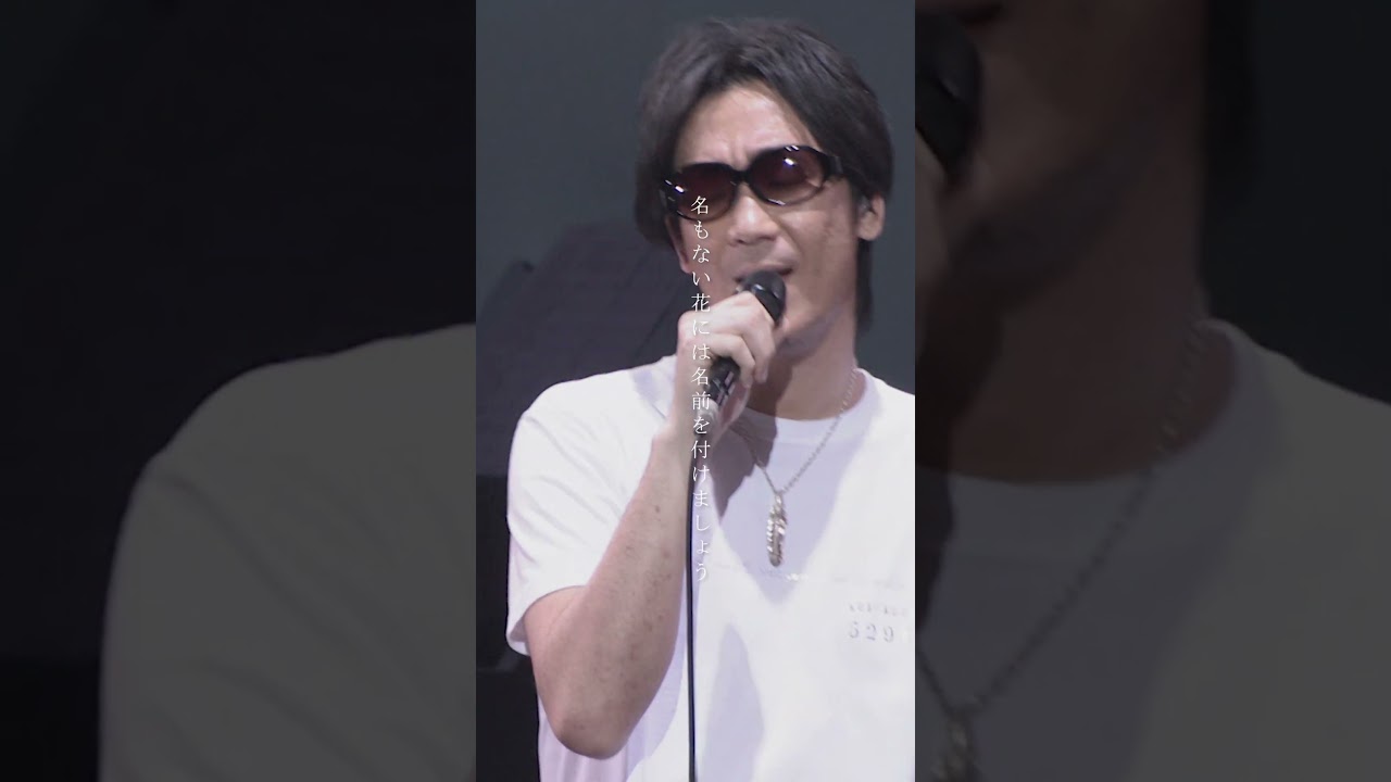 コブクロ 「#桜 」ライブ映像フル公開中🌸 - YouTube