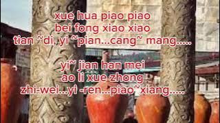 YI JIAN MEI 一剪梅 karaoke musik dangdut male key