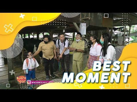 Jarwo Lemes Liat Daus Mini Teraniaya | Best Moment Ngobrol Asal (7/2/21)