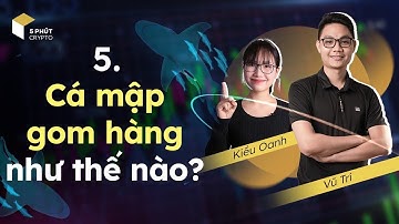 NHẬN DIỆN VÙNG GOM HÀNG CỦA CÁ MẬP - Thay đổi cấu trúc thị trường - Kiểm định | WYCKOFF |