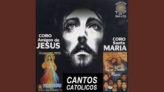 Video thumbnail of "Cantos catolicos - Yo Edifique Una Casa"