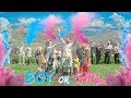 The BIG Gender Reveal | BOY or GIRL 💖🥳💙