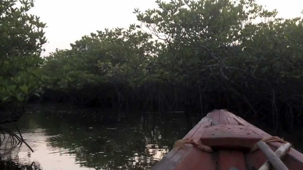 Suduaya - Shamanic Light (Feat. Amin) HD