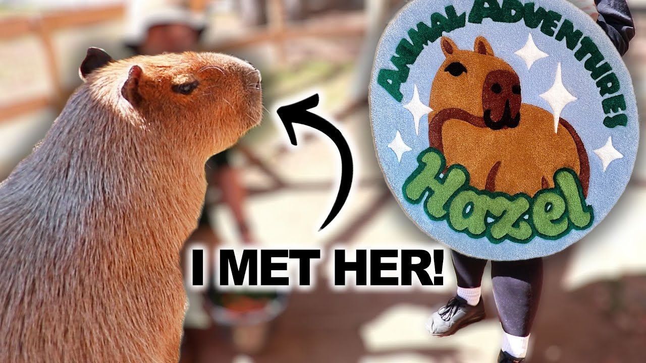I MADE A RUG FOR A CAPYBARA! & presented it to her... 👀