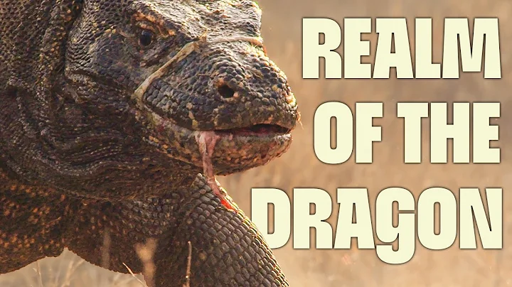 Savage Komodo Hunts & More | FULL DOCUMENTARY | Wild Indonesia | @UltimateNatureDocs