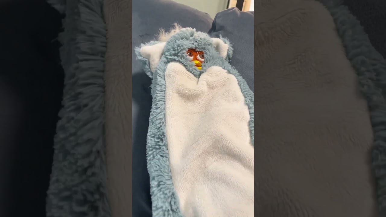 worm metamorphosis