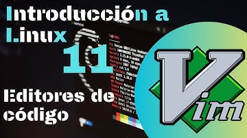 Editores de código en terminal | Linux #bioinformática #linux #neovim #vim