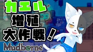 【Mudborne】カエルが増える話 【Vtuber】