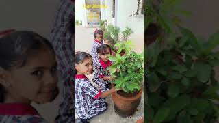 Gardening Activity