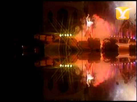 Miguel Bose, Fuego, Festival de Viña 1984