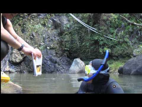 PBS Hawaii -