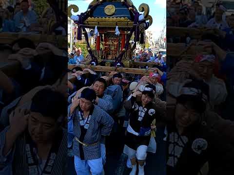 【塚越稲荷神社初午祭2025】神輿渡御！【榎】渡御