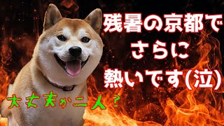 皆様もお気を付けくださいね! てんちゃんネル