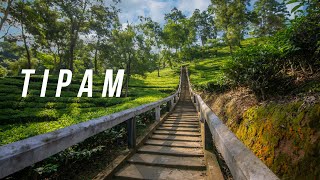 TIPAM - First Capital of Ahom Kingdom | Tipam Deosali Hills, Naharkatia