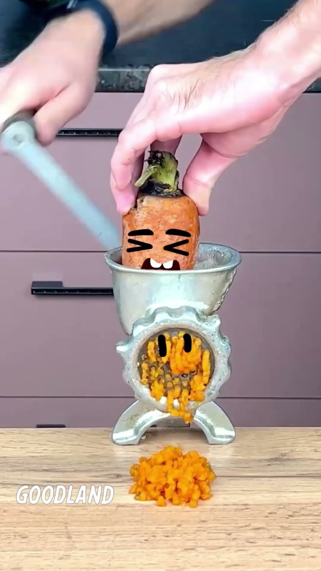 Carrot or meat grinder, who will win? ? #doodles #animation #cartoon #GOODLAND