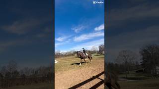 Bea Has Smooth Canter This Way Too