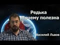 Редька. Почему полезна.