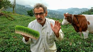 The Joy of the Earth | Recep Kaya and the World of His Animal Friends