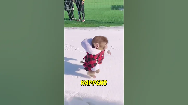 How animals survive in freezing temperatures 🥶