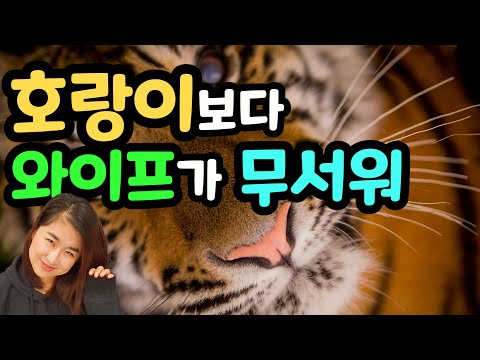 [패턴이 <strong>문법보다</strong> 빠르다 ] 호랑이보다 와이프가 무서워~~롱차이나 중국어